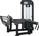 Hammer Strength Select  Leg Curl - PSLCSE