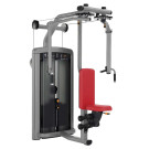 INSIGNIA SERIES Pectoral Fly/Rear Deltoid
