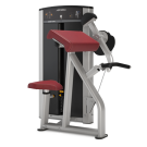 Life Fitness Axiom Series Biceps/ Triceps