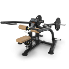 TRUE Fitness' Triceps Extension