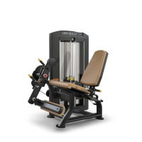 SPL-0100 SEATED LEG EXTENSION