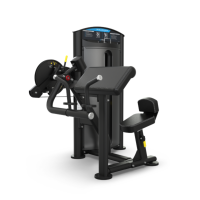 SD-1001 BICEPS/TRICEPS