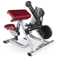 Signature Series Biceps Curl