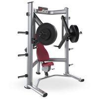 Signature Series Decline Chest Press