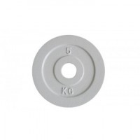 Calibrated Olympic Iron Plate (Exact Weight in KG)