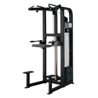 Hammer Strength Select Assist Dip Chin - PSADCSE