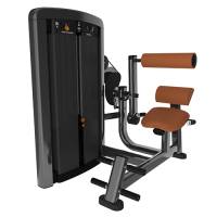 Insignia Series- Back Extension SS-BE