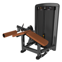 Insignia Series- Leg Curl SS-LC