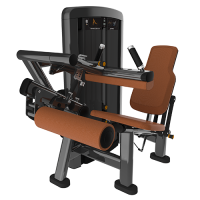 Insignia Series- Seated Leg Curl SS-SLC