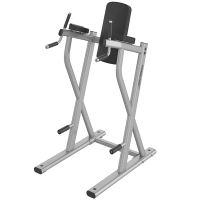 Life Fitness Axiom Series Dip/ Leg Raise 