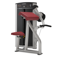 Life Fitness Axiom Series Biceps/ Triceps