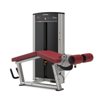 Life Fitness Axiom Series Leg Curl 
