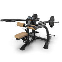 TRUE Fitness' Triceps Extension