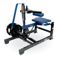 Seated Calf Raise