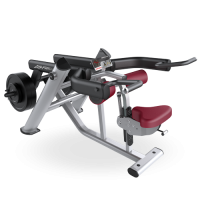 Signature Series Plate Loaded Seated Dip