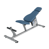 CIRCUIT SERIES AB CURL BENCH